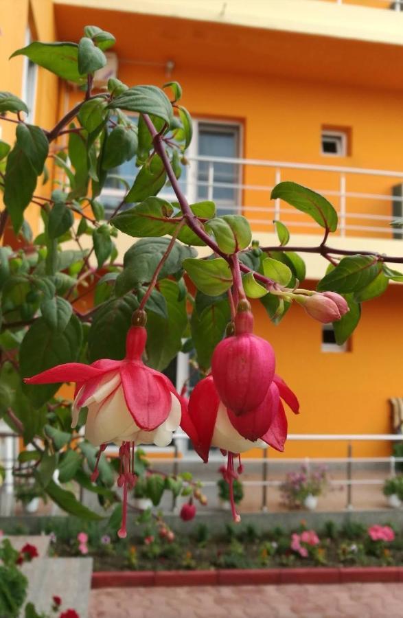 Vila Oranj Hotel Costinesti Exterior photo
